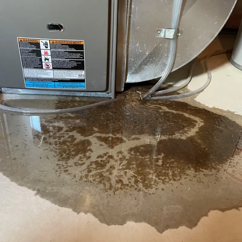 Appliance Leak Cleanup in Cheyenne, OK