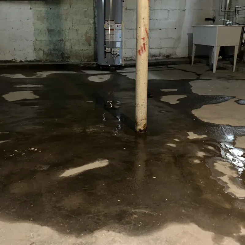 Emergency Water Extraction And Removal in Cheyenne, OK